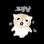 작아요 고먕이