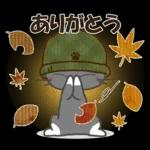 黒ねこの秋・冬便り