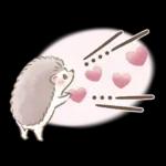 もふもふ♡ガーリーベアのかわいい毎日