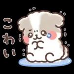 ふわふわシーズー 3歳児