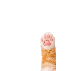 ocouj7