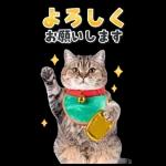 毎年使える♪リアルなにゃんこの年末年始