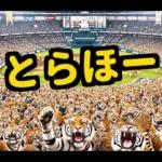 大阪神戸の野球好き虎ファン向け5とらほー