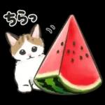夏の毎日☆猫たちのスタンプ２
