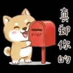 柴犬可愛諧音梗
