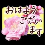 春✿明るい花で幸せ呼び込む✿やさしい声かけ