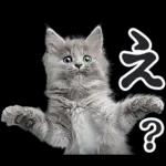リアルな子猫ミーム（秋ハロウィン）
