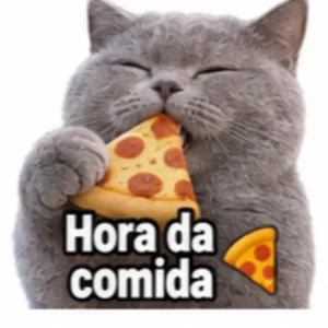 s2ng1wl
