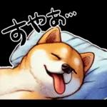 柴犬ワンダフル！！！！！