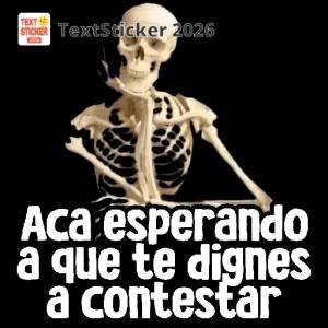 TextSticker 2026 Aca esperando a que te dignes a contestar - getsticker.com