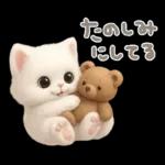 モフモフ白ネコ