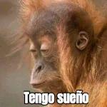 changos