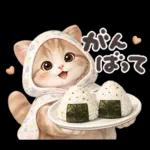 ちびニャンず♡毎日連絡スタンプ