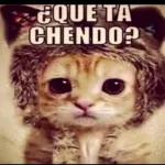 Fondos de Pantalla Foto