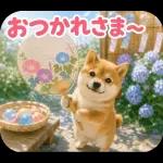とびだす★夏 柴犬★わんこ♡犬