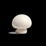 大切な毎日に♡可愛い無難な敬語のスタンプ