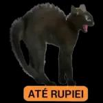 Meme Brasileiro 12092