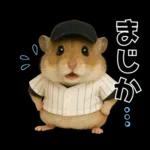 【新】リアル野球ハムスター