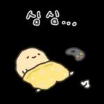 겨울철 부실감자 냉해주의