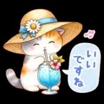 猫のつめあわせ【夏】
