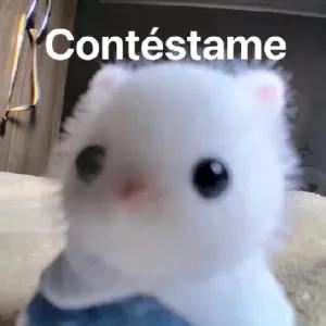 Contéstame - getsticker.com