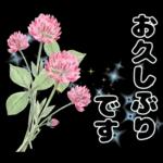 毎日使える やさしいお花の挨拶スタンプ