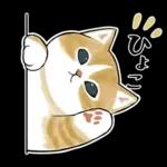 おめかしにゃん