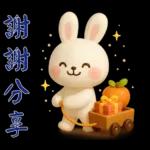 可愛白兔-實用短語