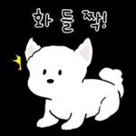 또리는 소심하지만 참지않지