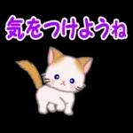 もふもふしっぽの子猫ちゃん　毎日使う言葉