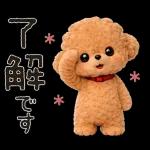 もふもふトイプードルの日常スタンプ