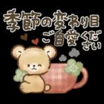 秋冬❤️くまの日常♪