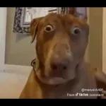 WISHING YOU A GREAT DAY!