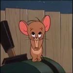 SE VA A HACER O NO SE VA A HACER?