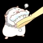 판다마우스 이벤트&기념일편