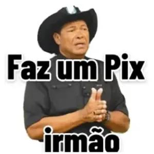 Faz um Pix irmão - getsticker.com
