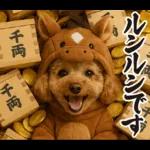 ウマの着ぐるみトイプードル【午年/2026】