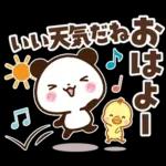 パンダ＆ひよこ 梅雨・夏