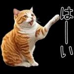 リアルな猫の敬語