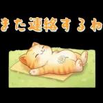 ぽかぽか春ねこライフ