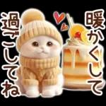冬の猫のスコティッシュ【よく使う言葉】