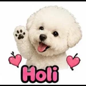 Holi - getsticker.com