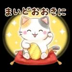 ほんわか水彩♪京都の三毛猫さん