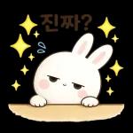 시크한 토끼의 한마디