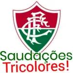 Fluminense sticker