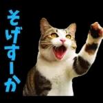 島根出雲弁☆にゃんこ