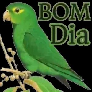 BOM Dia - getsticker.com