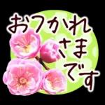春✿明るい花で幸せ呼び込む✿やさしい声かけ