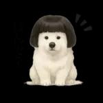 もふもふ【愛されサモエド】