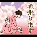日本の着物を着た女性 春